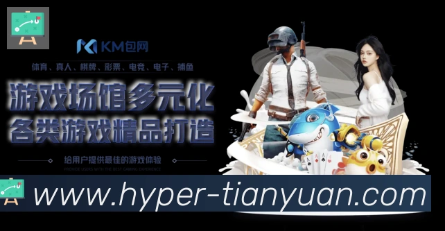 未来规划